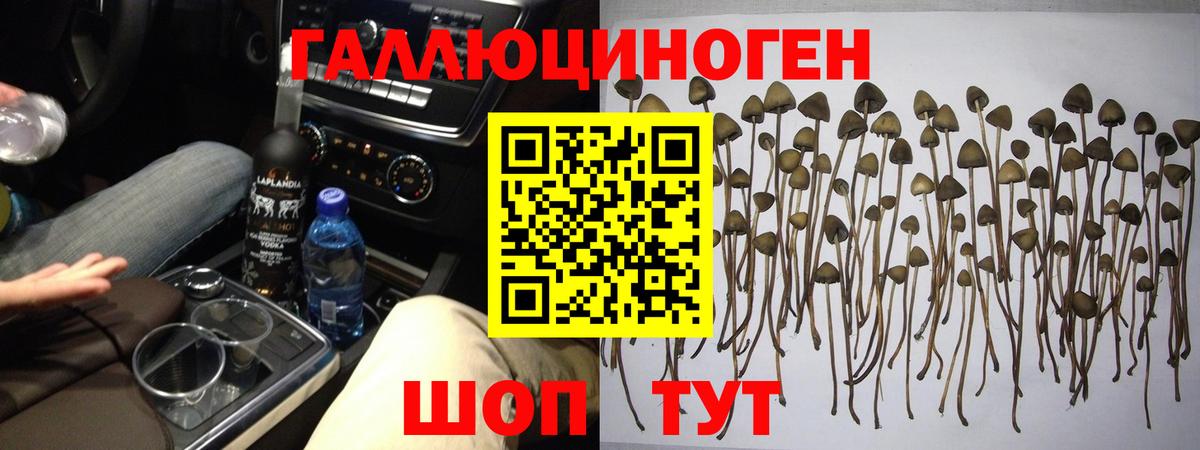 Екатеринбург  Псилоцибиновые грибы MAGIC MUSHROOMS  Вход с VPN 