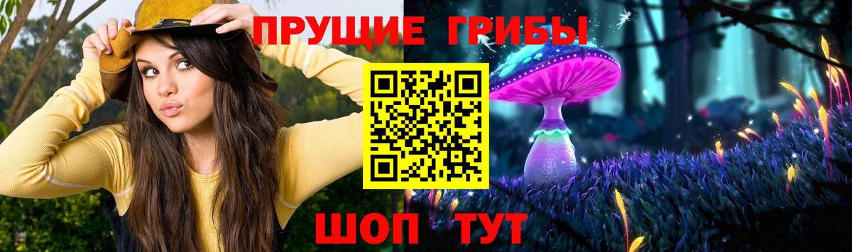 Галлюциногенные грибы мицелий Екатеринбург